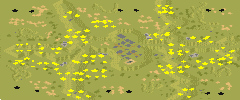 Battle for Dunes - Red Alert 2 Map Preview Image